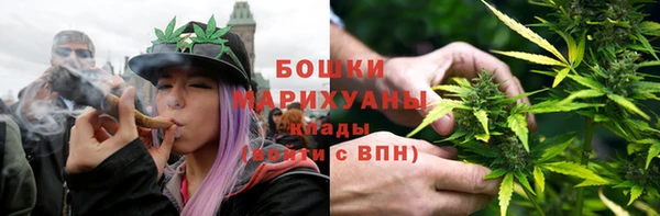 спиды Богородицк