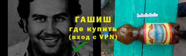 спиды Богородицк