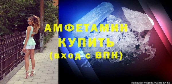 спиды Богородицк
