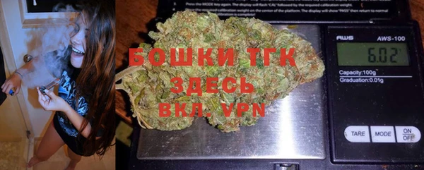 спиды Богородицк
